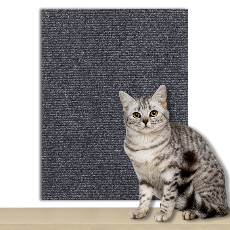 Protector Adhesivo para Sofás de Gato