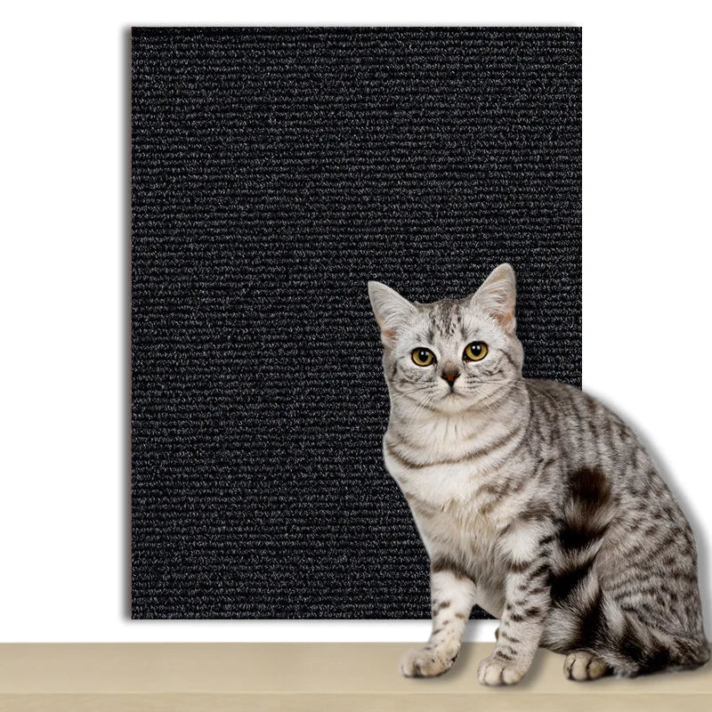 Protector Adhesivo para Sofás de Gato